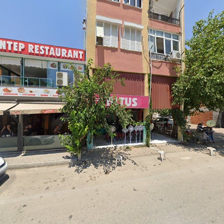 Fotoğraf 9