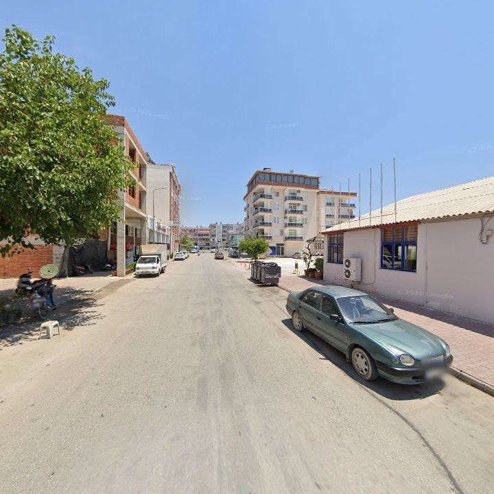 Fotoğraf 10