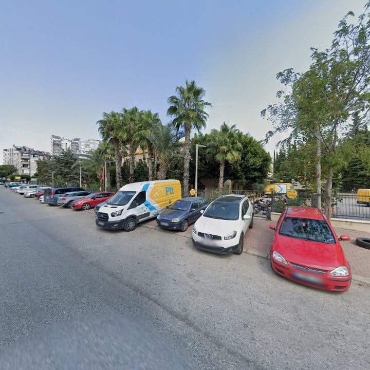 Fotoğraf 11