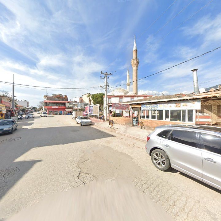 Fotoğraf 6