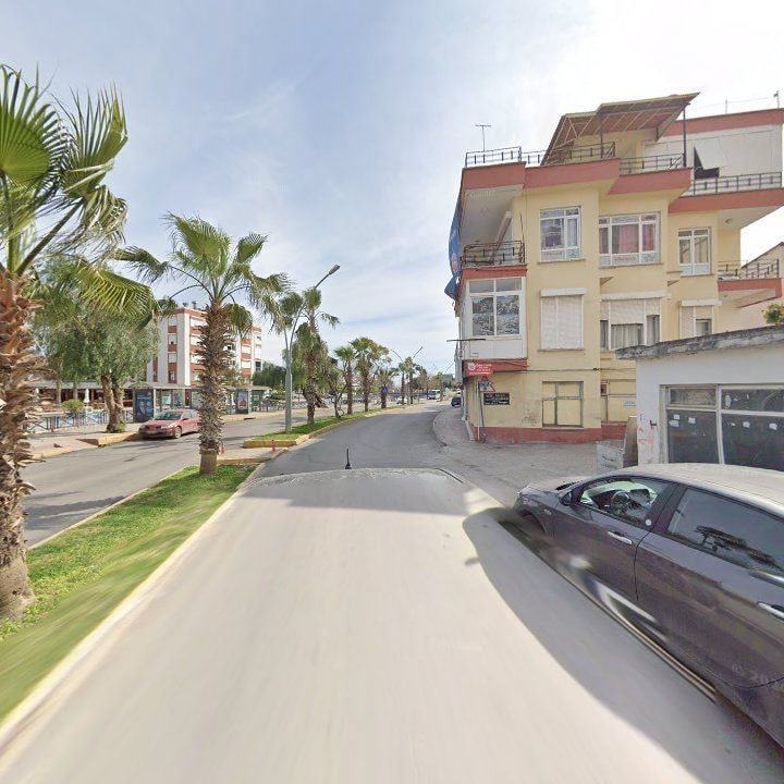 Fotoğraf 8