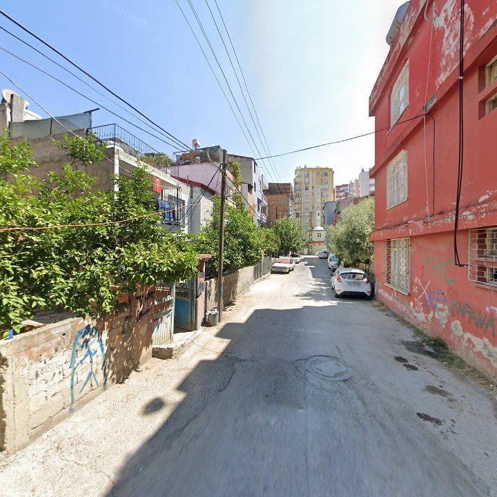 Fotoğraf 3