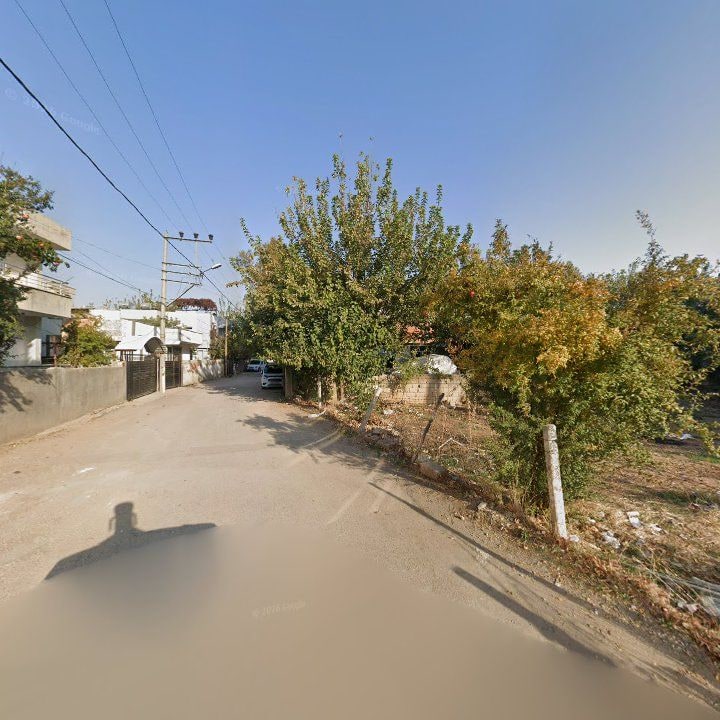 Fotoğraf 2