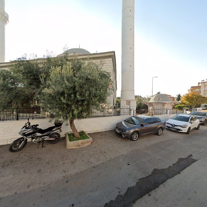 Fotoğraf 7