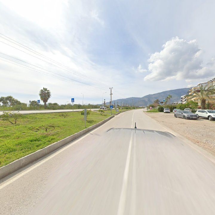 Fotoğraf 11