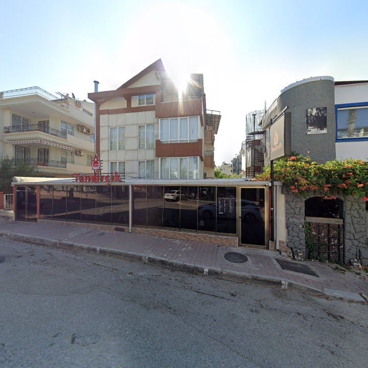 Fotoğraf 12