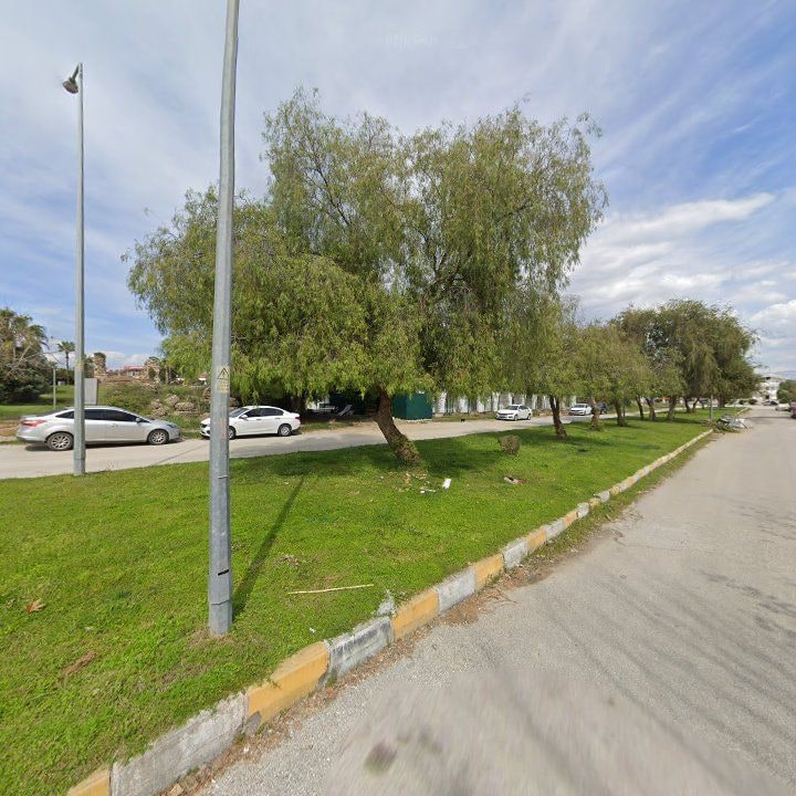 Fotoğraf 15