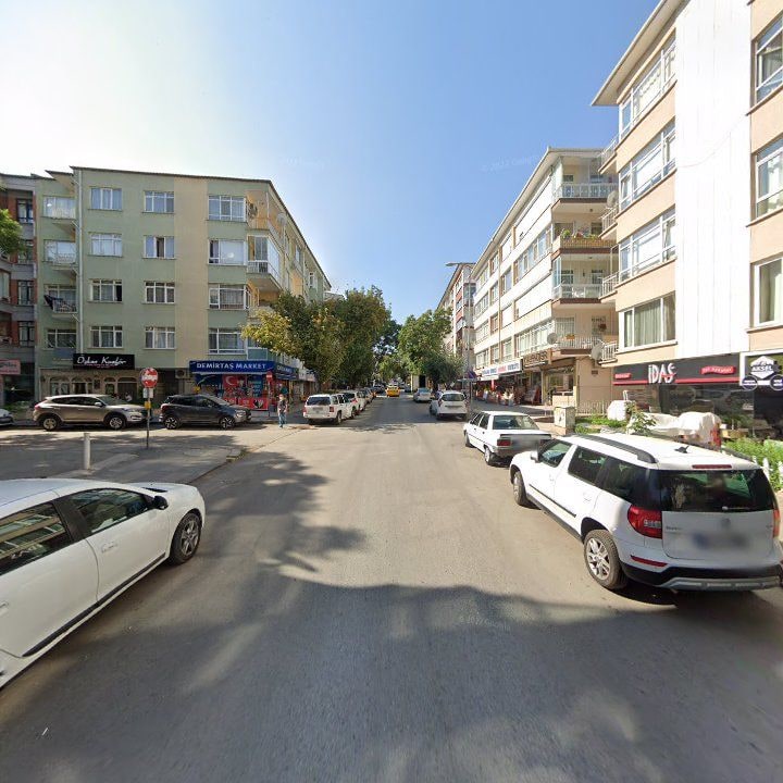 Fotoğraf 10