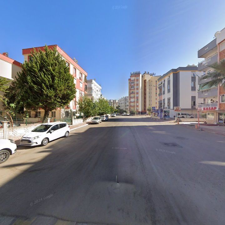 Fotoğraf 6