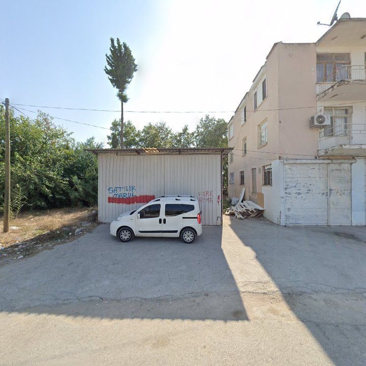 Fotoğraf 8