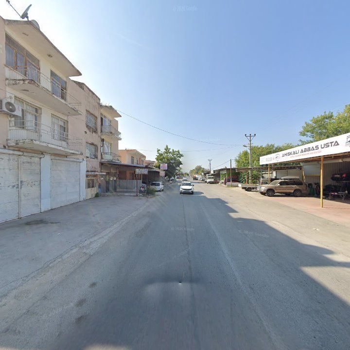 Fotoğraf 9
