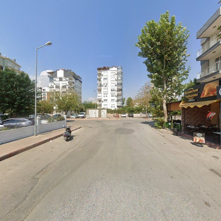 Fotoğraf 12