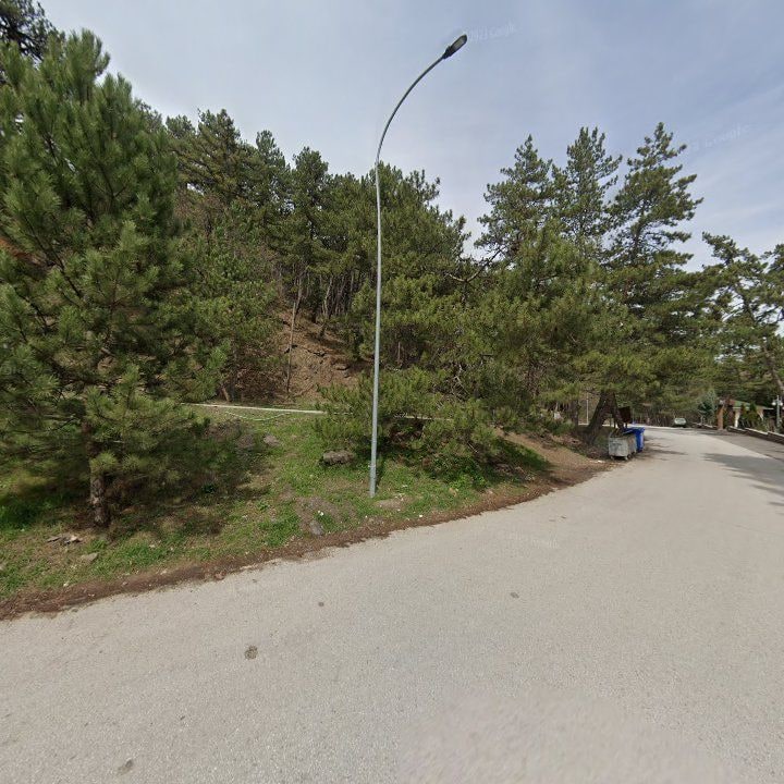 Fotoğraf 11
