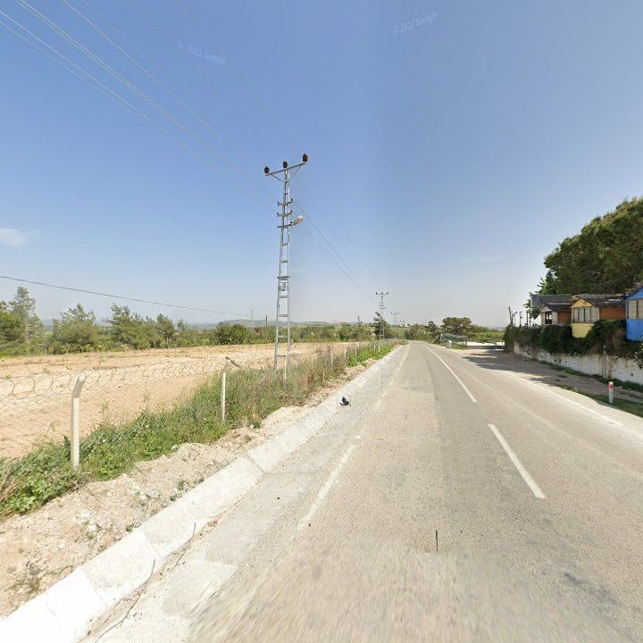 Fotoğraf 10