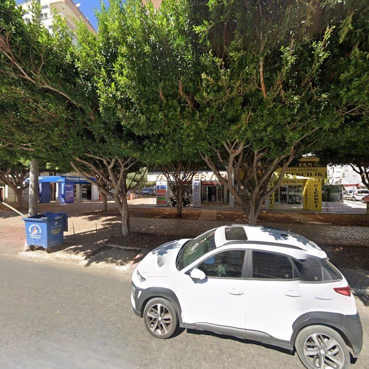 Fotoğraf 7