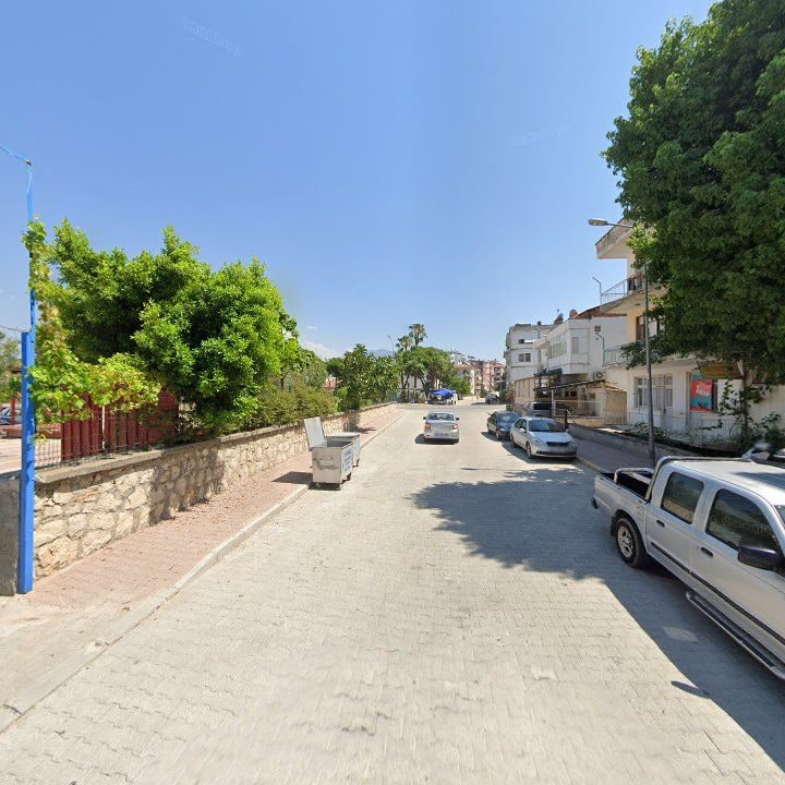 Fotoğraf 10