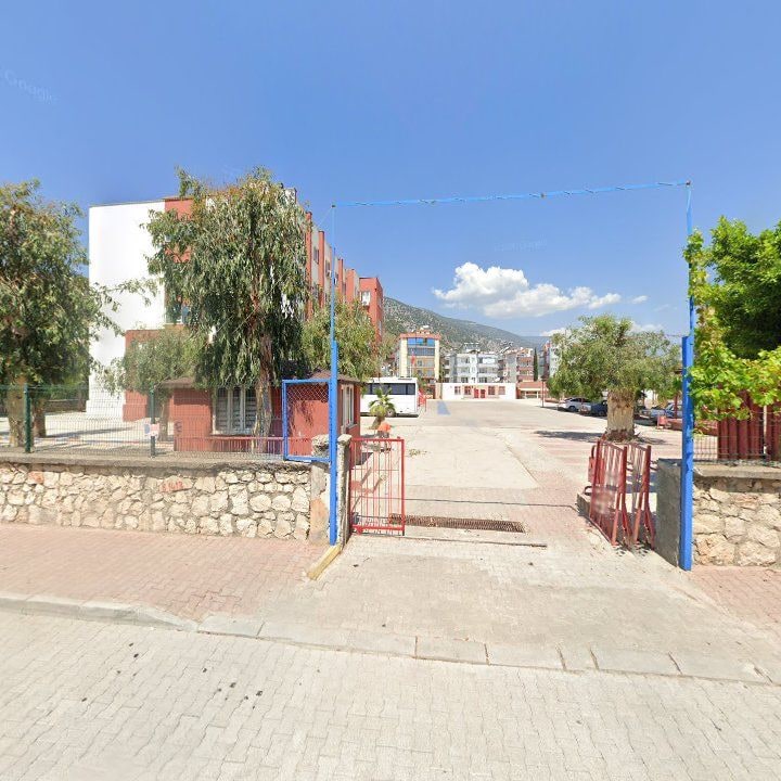 Fotoğraf 9
