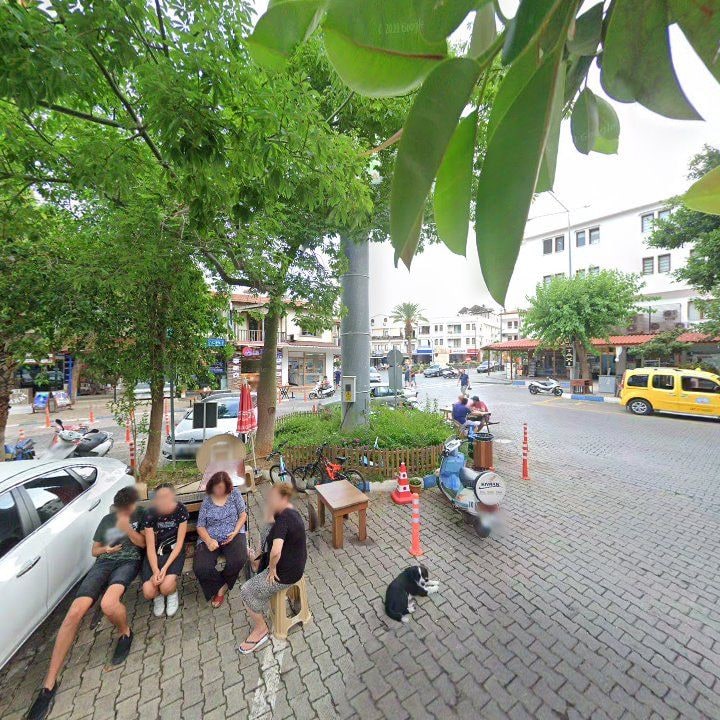 Fotoğraf 10