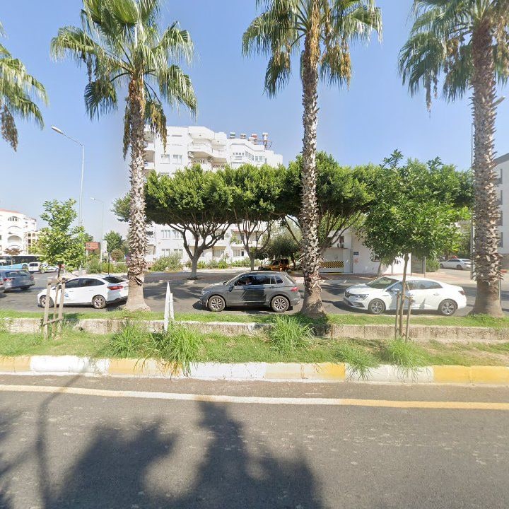 Fotoğraf 9
