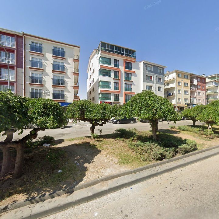 Fotoğraf 6