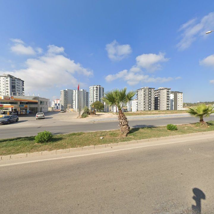 Fotoğraf 10