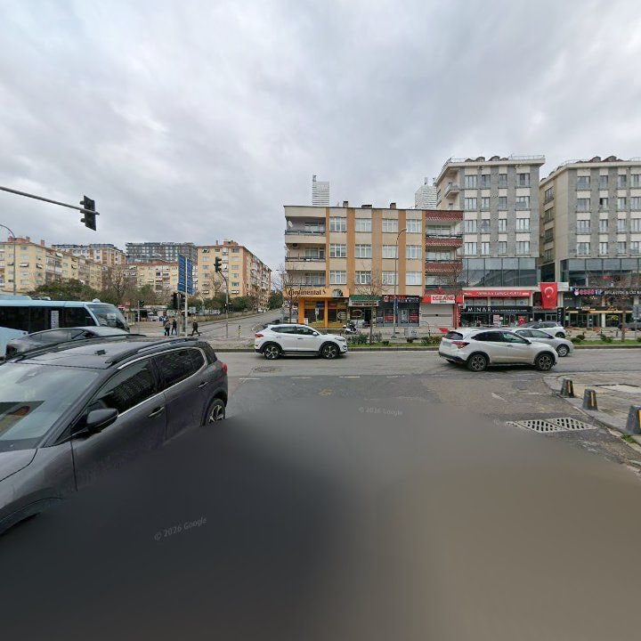 Fotoğraf 15
