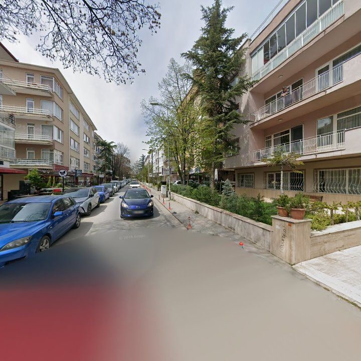 Fotoğraf 12