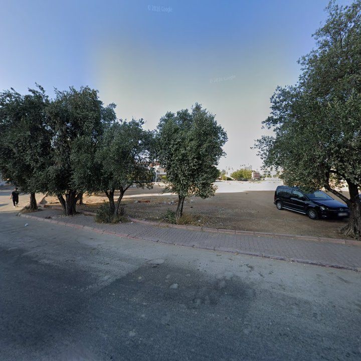 Fotoğraf 11