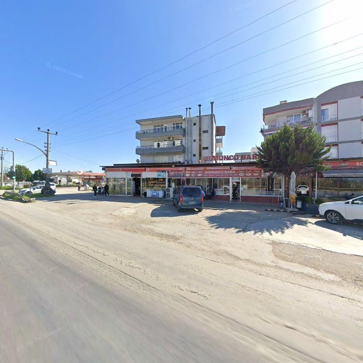 Fotoğraf 9