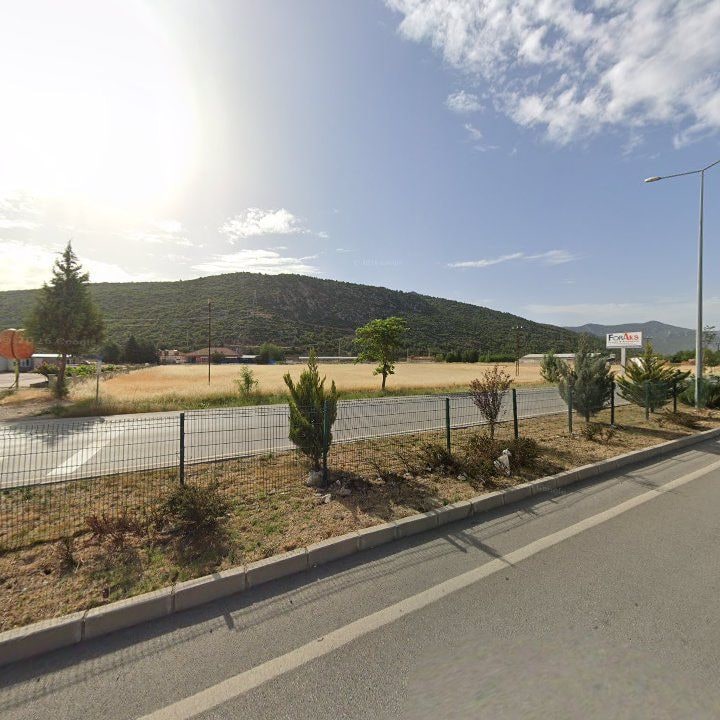 Fotoğraf 9