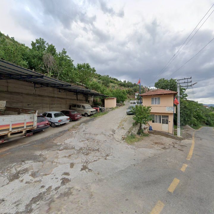 Fotoğraf 6