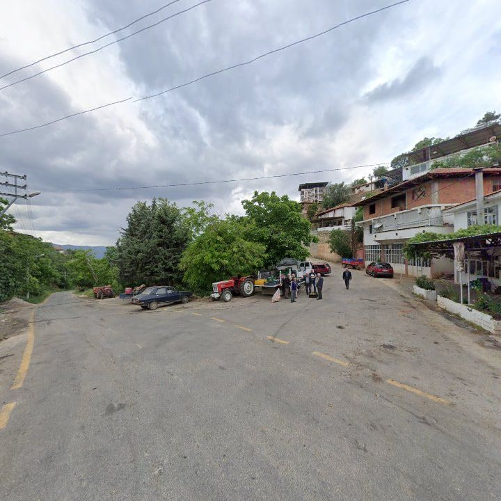 Fotoğraf 7