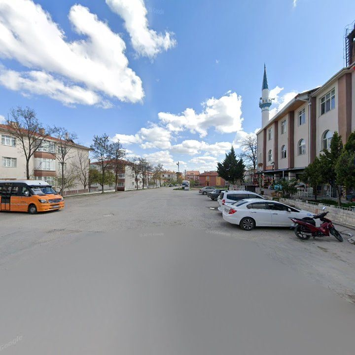 Fotoğraf 8