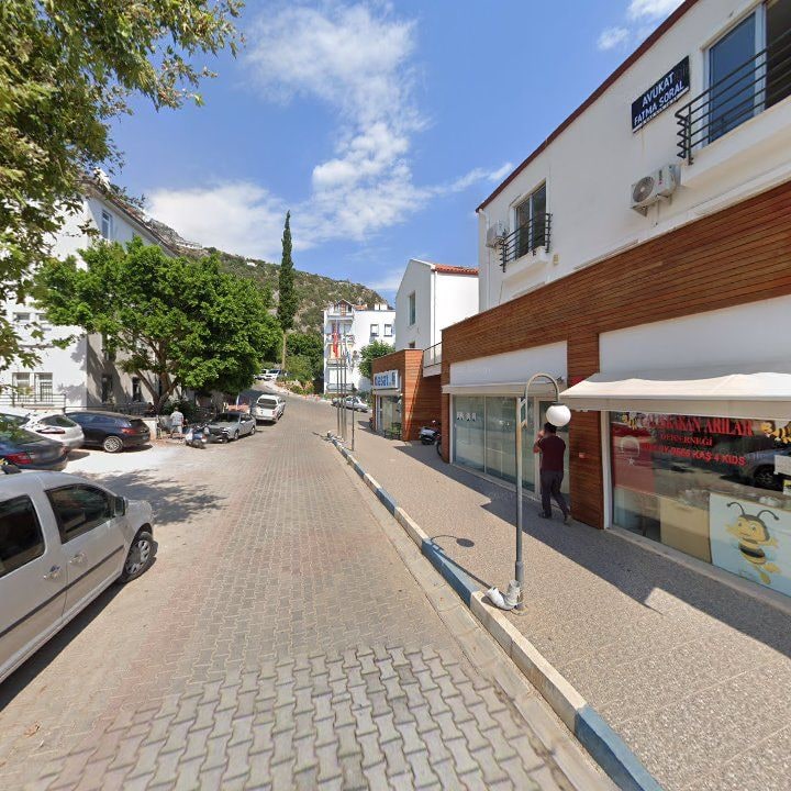 Fotoğraf 8