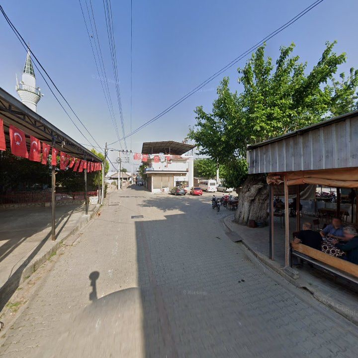 Fotoğraf 6