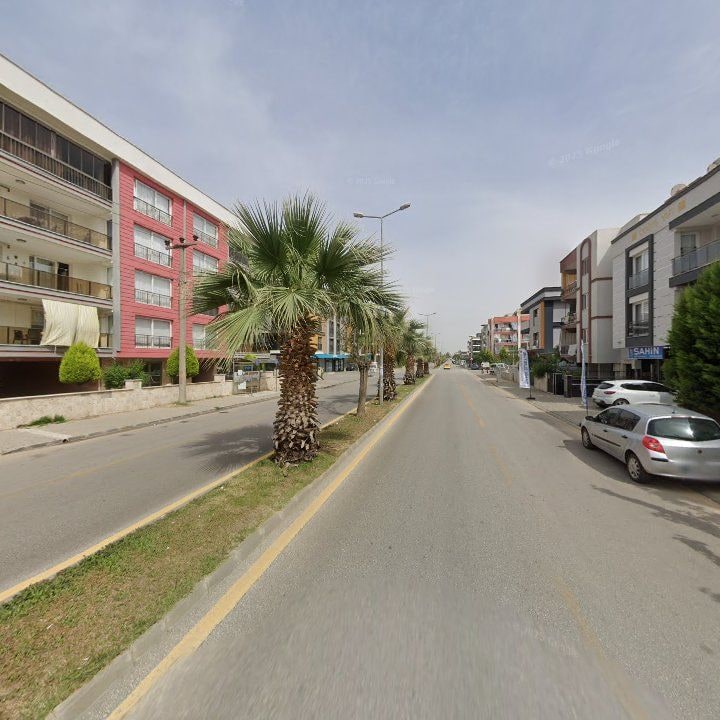 Fotoğraf 7