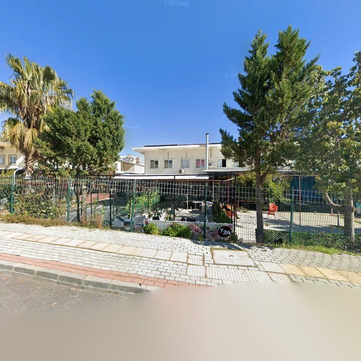 Fotoğraf 10