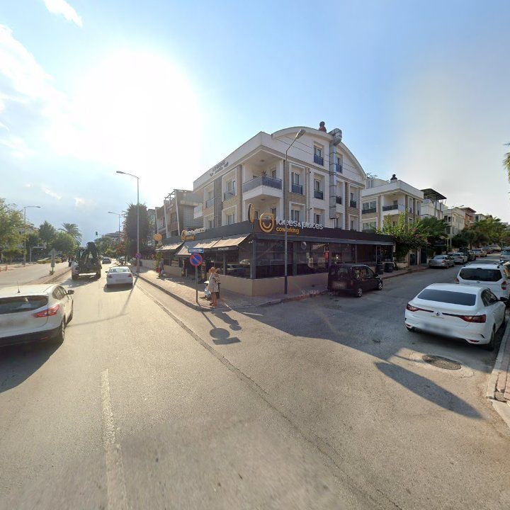 Fotoğraf 19