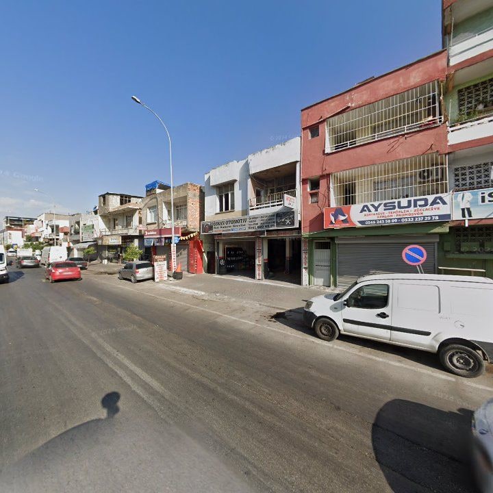 Fotoğraf 8