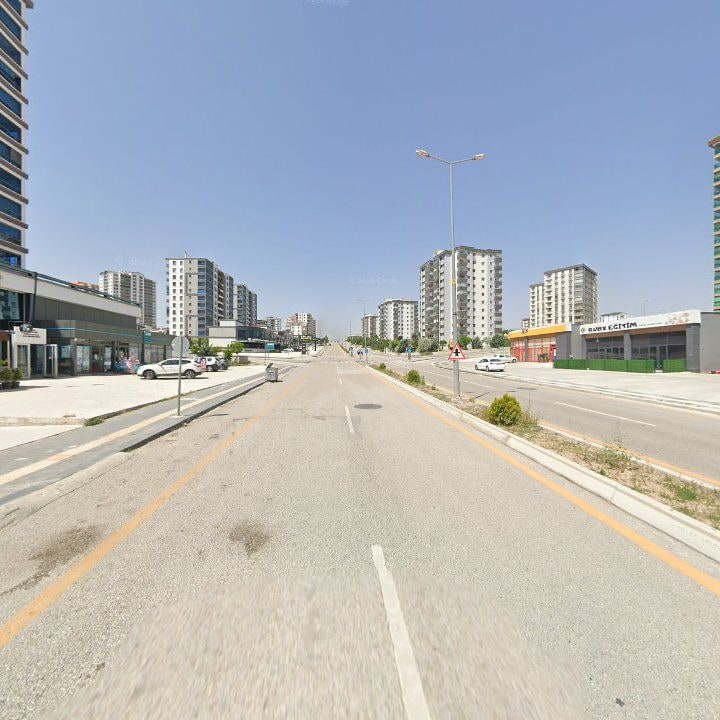 Fotoğraf 7
