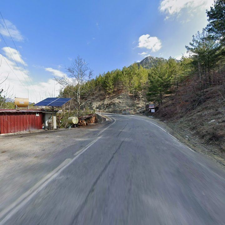 Fotoğraf 9