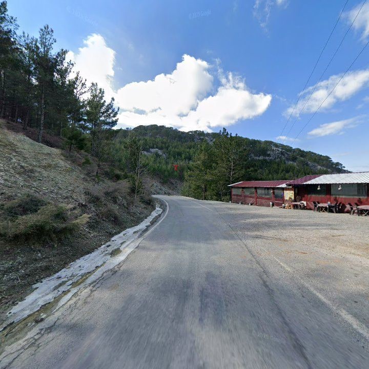 Fotoğraf 11