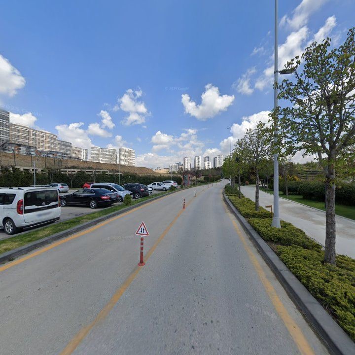 Fotoğraf 10