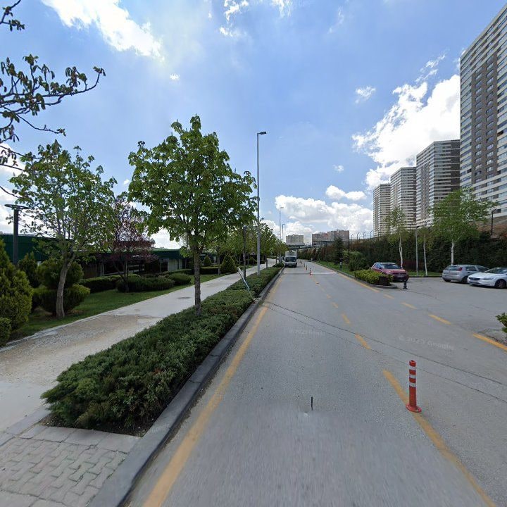 Fotoğraf 8