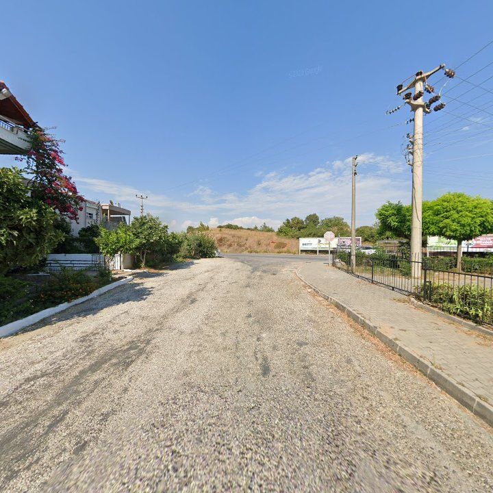 Fotoğraf 12