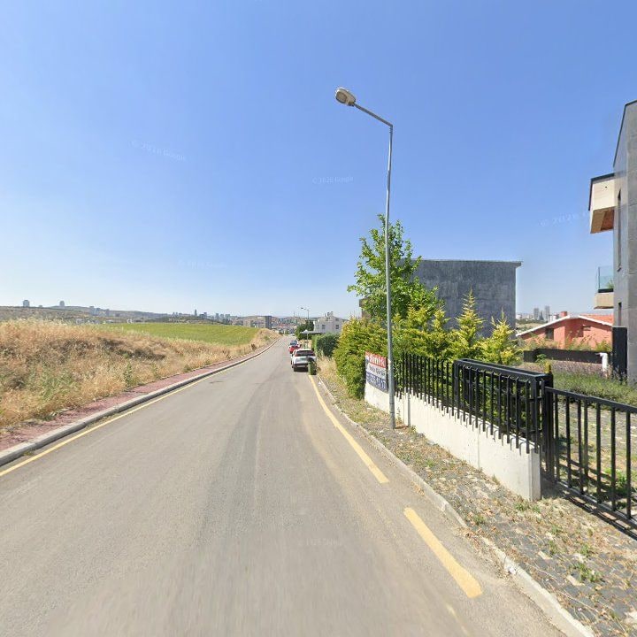 Fotoğraf 9