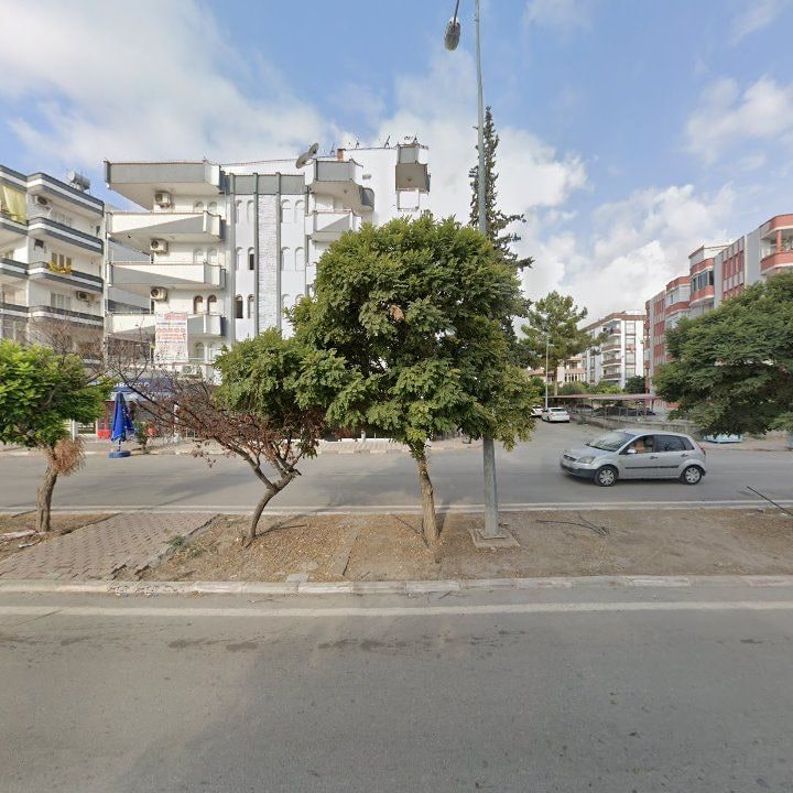 Fotoğraf 8