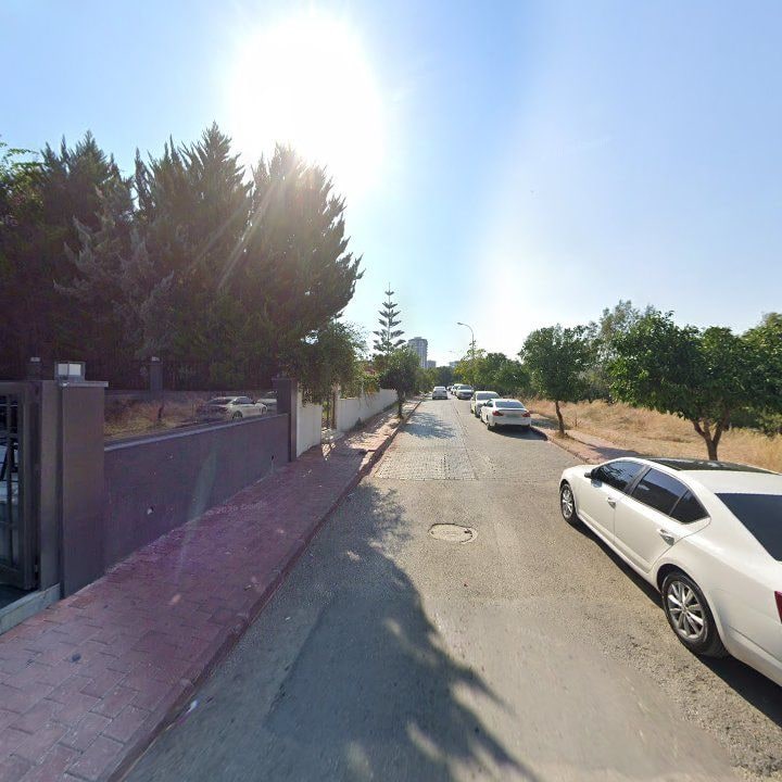 Fotoğraf 8