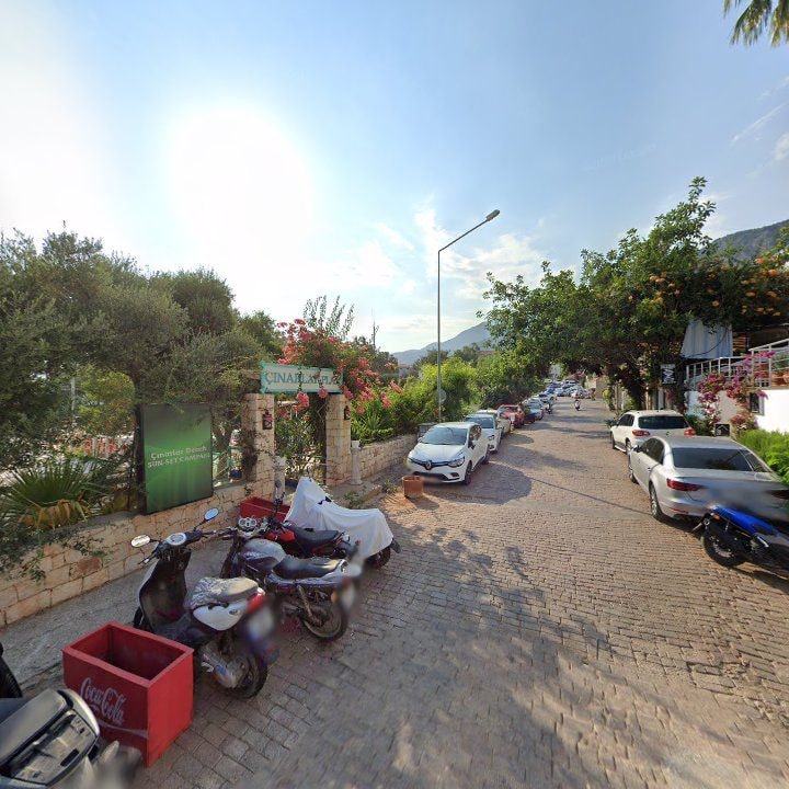 Fotoğraf 11