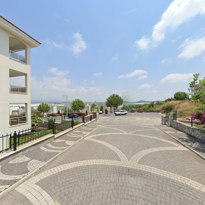 Fotoğraf 8